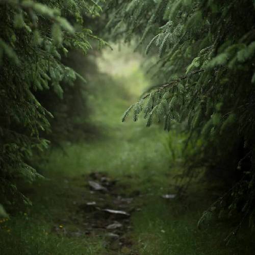 پوریا سازنده پیرت بسوزه روزگار با دلم کردی چیکار